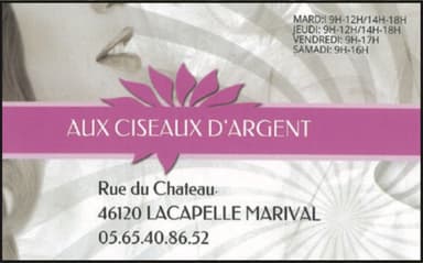 Aux Ciseaux d'Argent - Lacapelle Marival